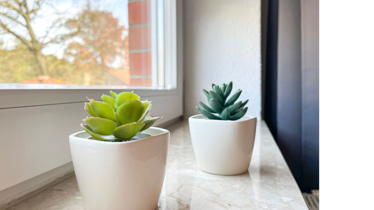 Dekoratives Detail Dekoratives Detail